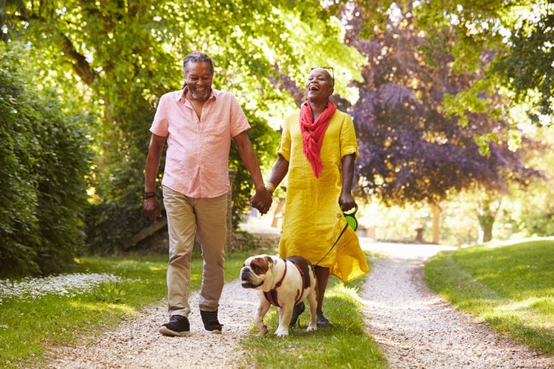 Later Living Couple Walking With Pet Bulldog In Countryside